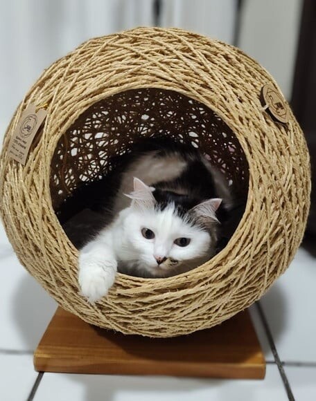 Toca Esfera em Sisal para Gatos