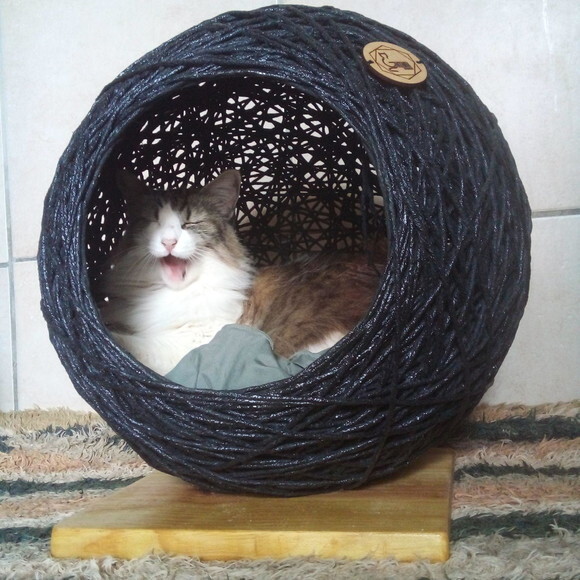 Toca Esfera para Gatos