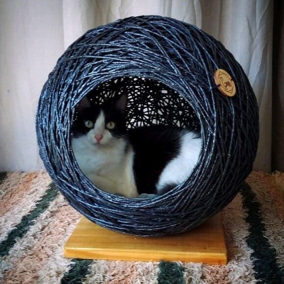 Toca para Gatos