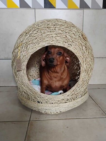 Toca Ninho Gg em Sisal para Cães ou Gatos Grandes