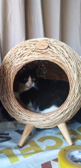 Toca Retrô em Sisal para Gatos