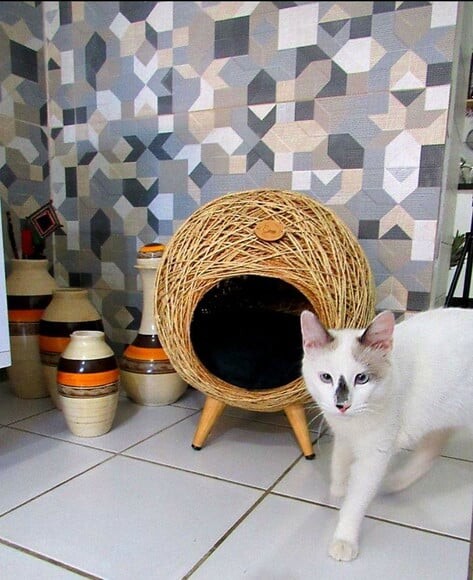 Toca Retrô em Sisal para Gatos