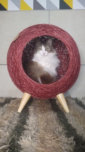 Toca Retrô em Sisal Vermelho para Gatos