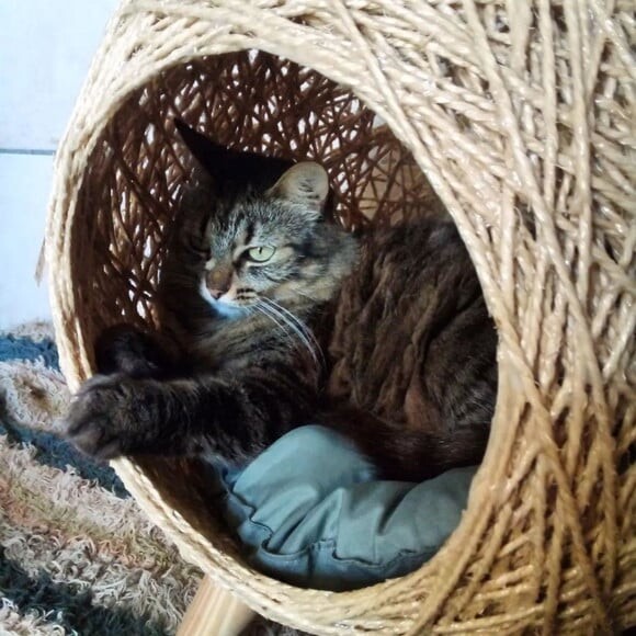 Toca Retrô Pezinho em Sisal para Gatos