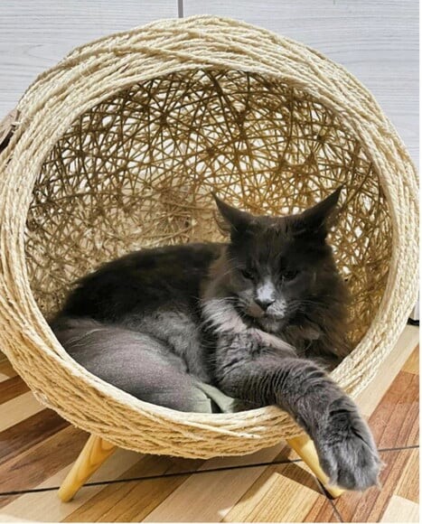 Toca Retrô Pezinho G em Sisal para Gatos Grandes