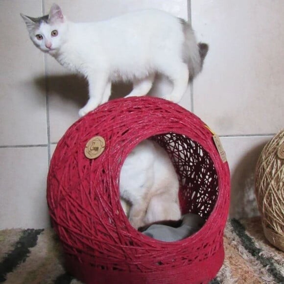 Toca Tamanho m em Barbante para Gatos e Cães Pequeno Porte