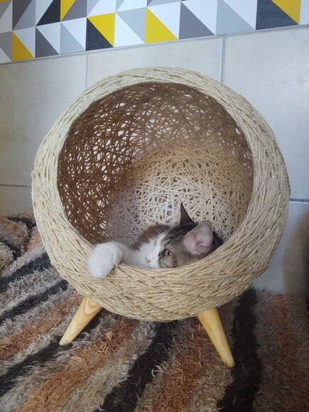 Toca Retrô Pezinho G em Sisal para Gatos Grandes