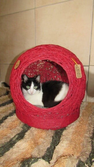 Toca Tamanho m em Barbante para Gatos e Cães Pequeno Porte