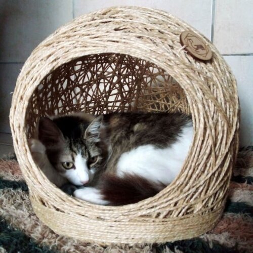 Cama em Sisal para Gatos até 6kg