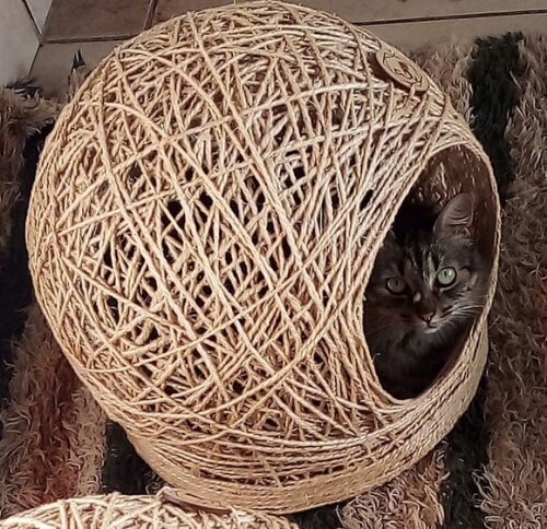 Cama em Sisal para Gatos até 6kg