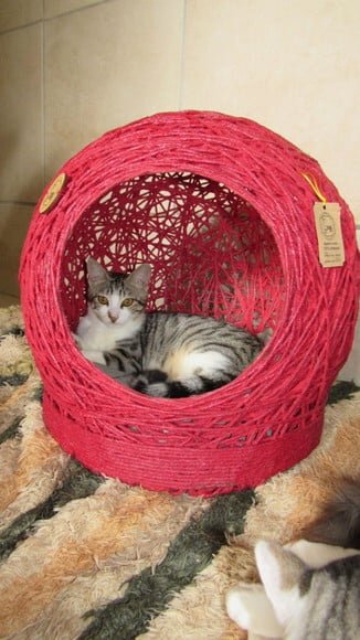 Cama Toca Tam m em Barbante para Gatos e Cães Pequeno Porte