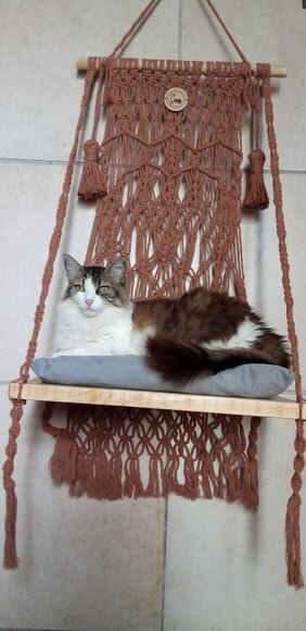 Camagato em Macramê