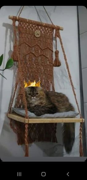 Camagato em Macramê