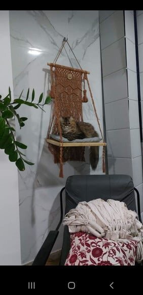 Camagato em Macramê