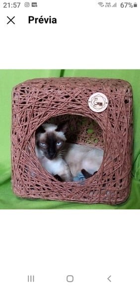 Toca Cubo para Gatos