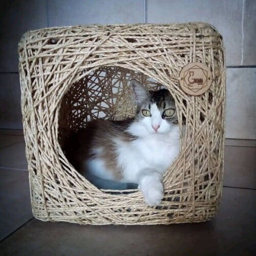Toca Cubo para Gatos