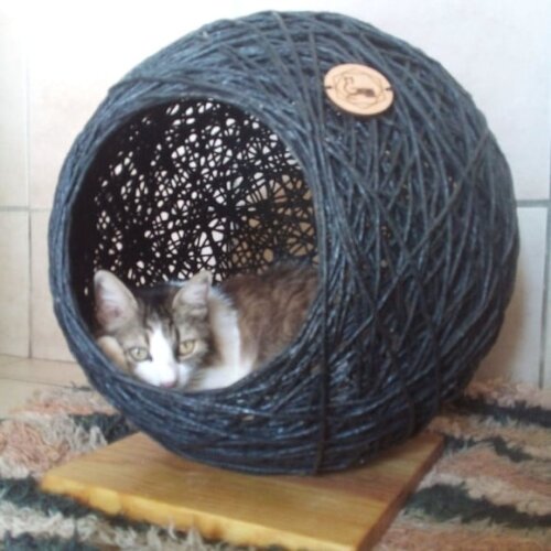 Toca Esfera para Gatos