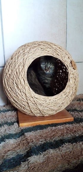 Toca Esfera em Sisal para Gatos