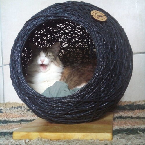 Toca Esfera para Gatos