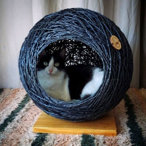 Toca para Gatos