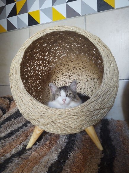 Toca Retrô Pezinho G em Sisal para Gatos Grandes