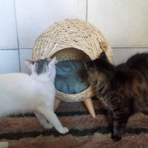 Toca Retrô Pezinho em Sisal para Gatos