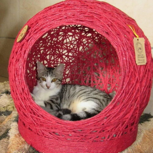 Toca Tamanho m em Barbante para Gatos e Cães Pequeno Porte