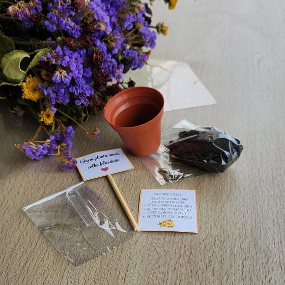 Lembrancinha Casamento Aniversário Kit para Plantar