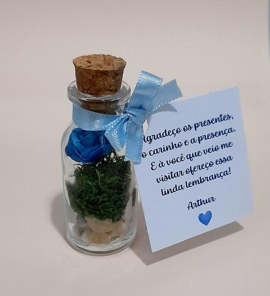 Lembrancinha Casamento Aniversário Mini Terrário Rosa Azul