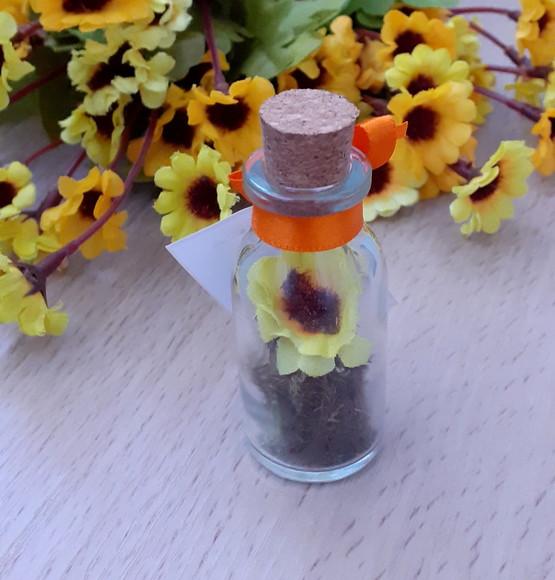 Lembrancinha Casamento Aniversário Mini Terrário Girassol