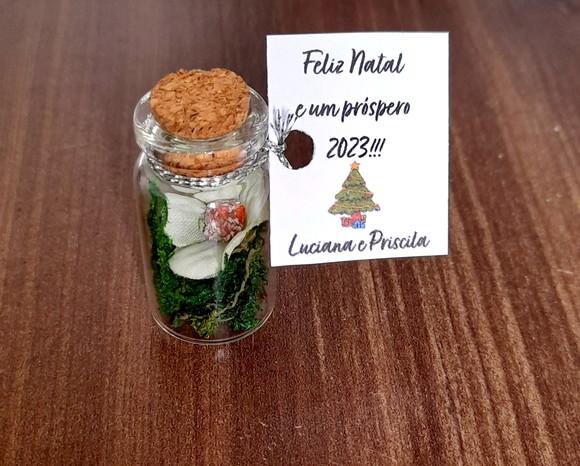 Lembrancinha Casamento Aniversário Mini Terrário