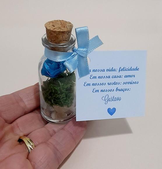 Lembrancinha Casamento Aniversário Mini Terrário Rosa Azul