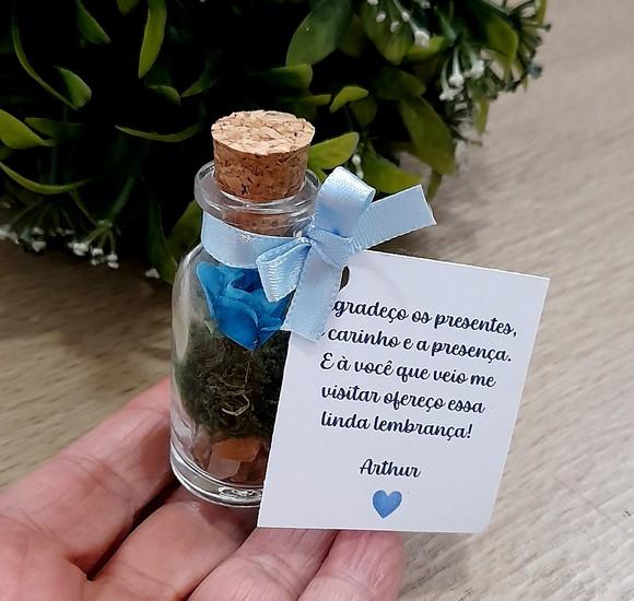Lembrancinha Casamento Aniversário Mini Terrário Rosa Azul