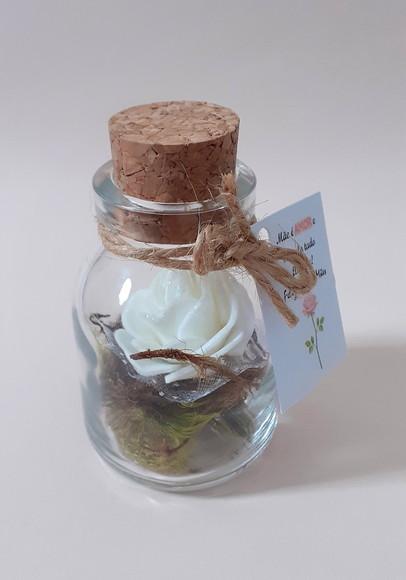 Lembrancinha Mini Terrário Perfumado