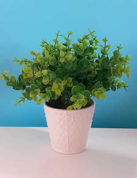 Arranjo de Planta Artificial