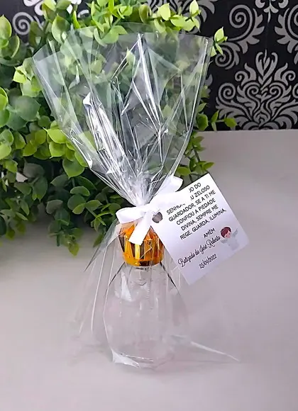 Lembrancinha Batizado Porta Água Benta N Sra Aparecida