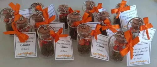 Lembrancinha Casamento Aniversario Chaveiro Mini Terrário