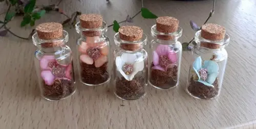 Lembrancinha Casamento Aniversário Mini Terrário