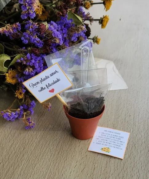 Lembrancinha Casamento Aniversário Kit para Plantar