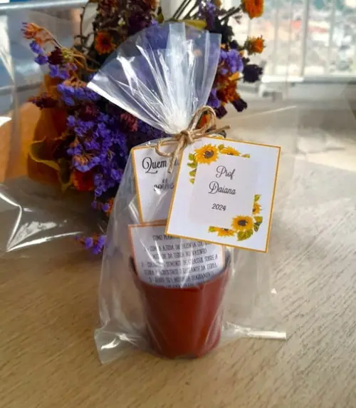 Lembrancinha Casamento Aniversário Kit para Plantar