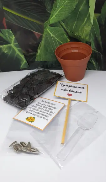 Lembrancinha Casamento Aniversário Kit para Plantar