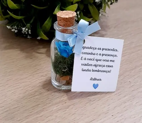 Lembrancinha Casamento Aniversário Mini Terrário Rosa Azul
