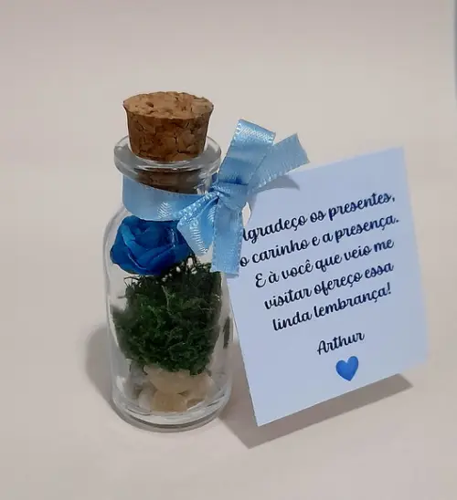Lembrancinha Casamento Aniversário Mini Terrário Rosa Azul