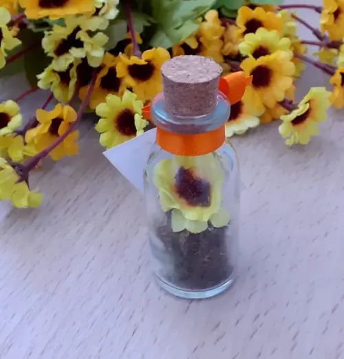 Lembrancinha Casamento Aniversário Mini Terrário Girassol