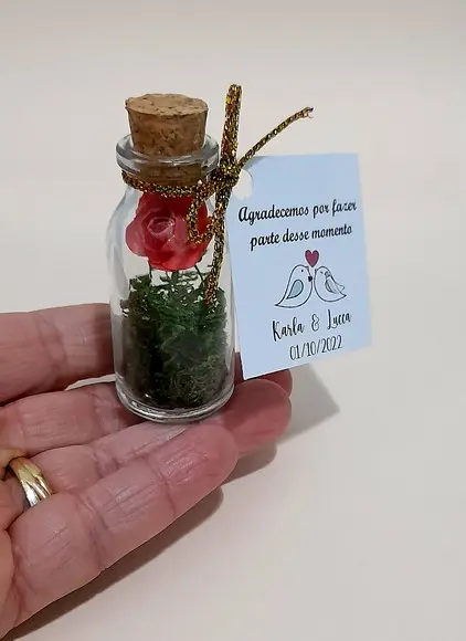 Lembrancinha Casamento Aniversário Mini Terrário Rosa Coral