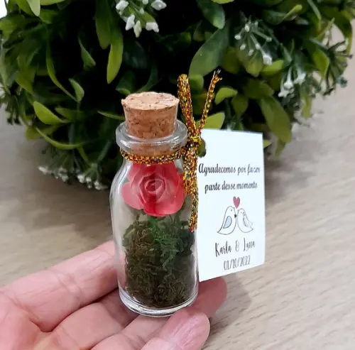 Lembrancinha Casamento Aniversário Mini Terrário Rosa Coral
