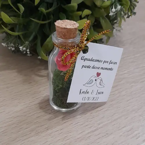 Lembrancinha Casamento Aniversário Mini Terrário Rosa Coral