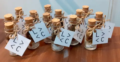 Lembrancinha Casamento Aniversario Mini Terrário Vivo