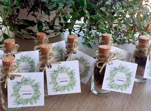 Lembrancinha Casamento Aniversario Mini Terrário Vivo