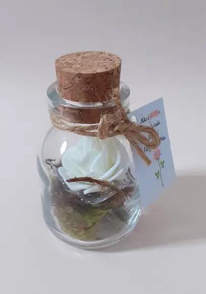 Lembrancinha Mini Terrário Perfumado
